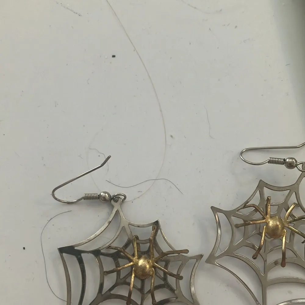 Spider in a spider web earrings - Image 3