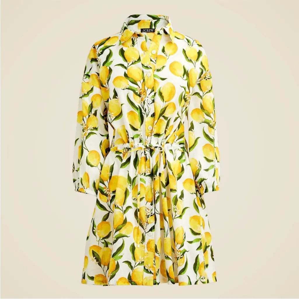 J. Crew Cinched Shirt Dress in Limoncello Cotton Voile Size Small - Image 2