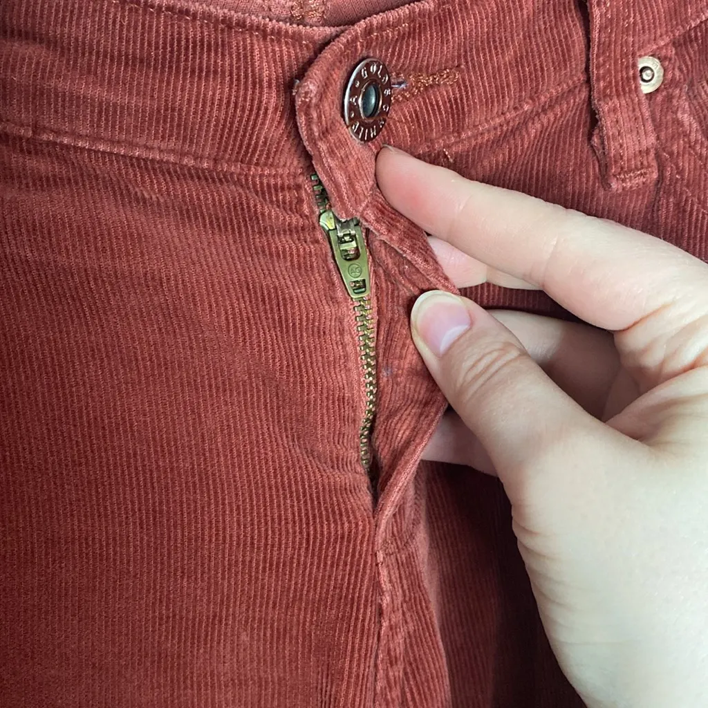 AG Adriano Goldschmied the Stevie slim straight corduroy pants in rust size 27 - Image 9