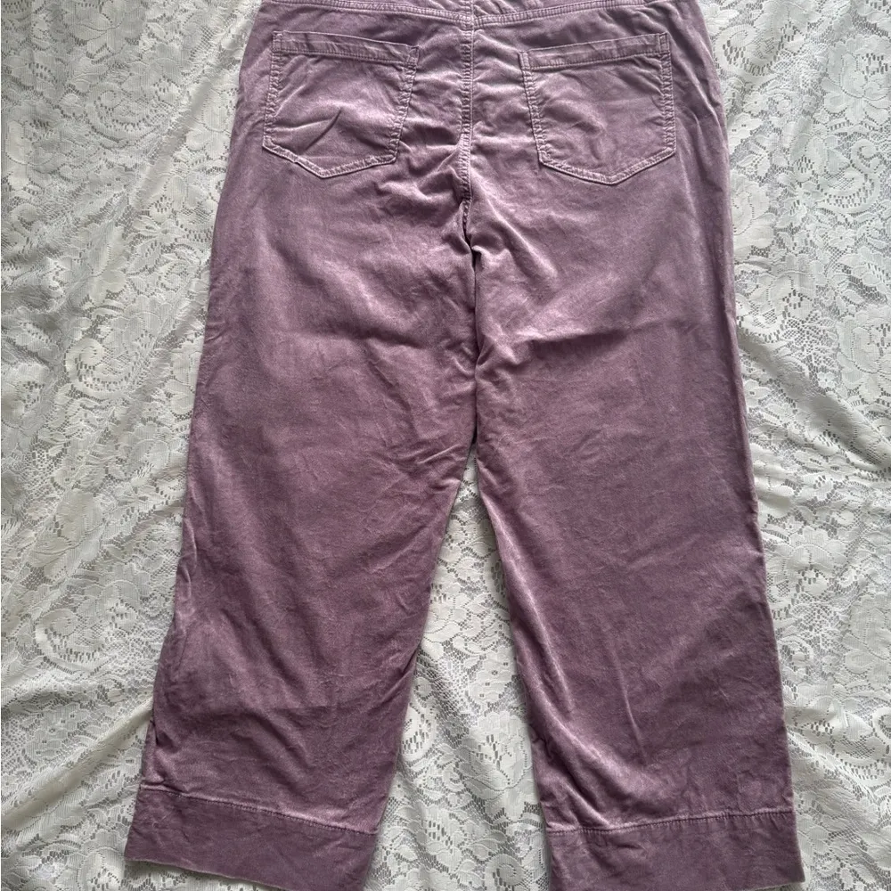 Ann Taylor LOFT Mauve Straight Crop Velvet Pants Size 32/14 - Image 5