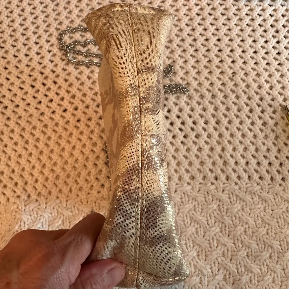 ANNABELL INGALL Elegant Gold and TINT Chain Bag - Image 2