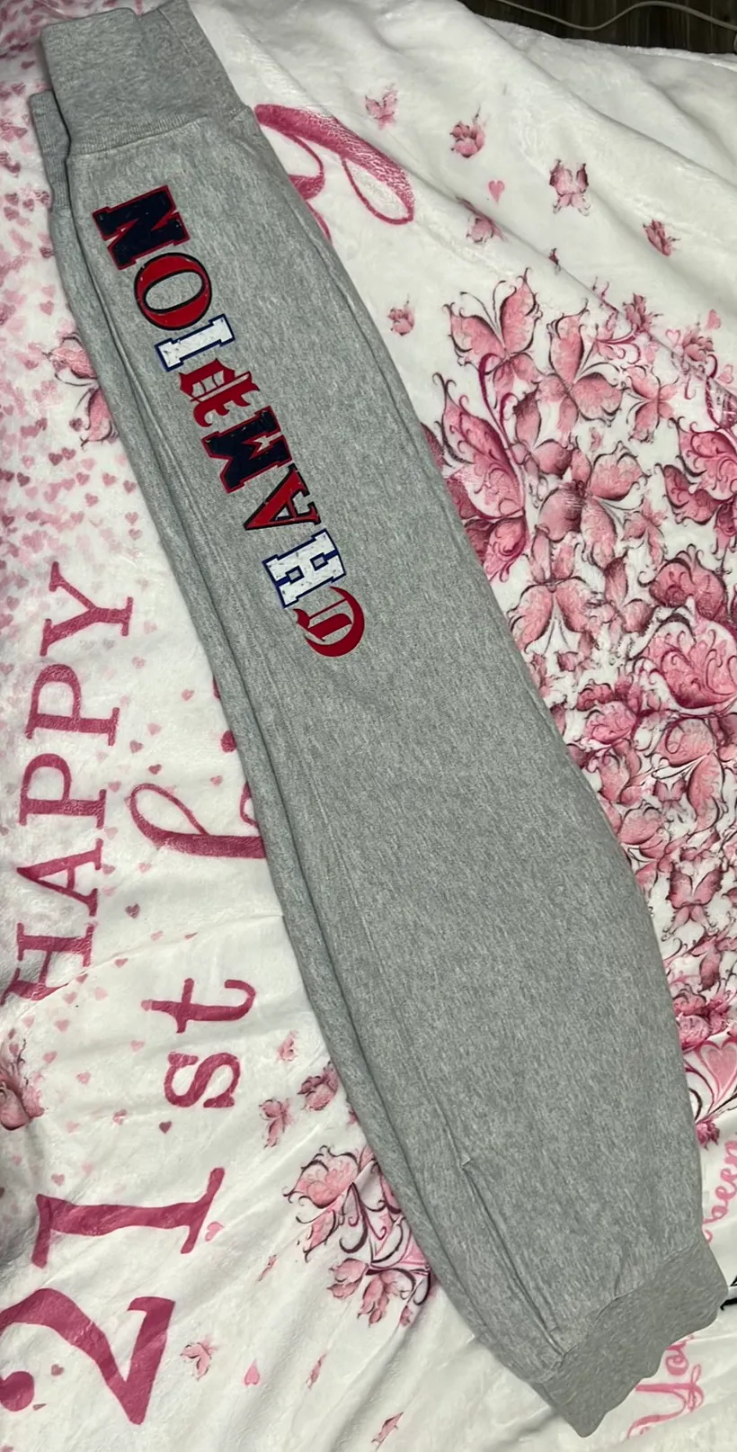 Champion Gray Reverse Weave Sweatpants - Image 2