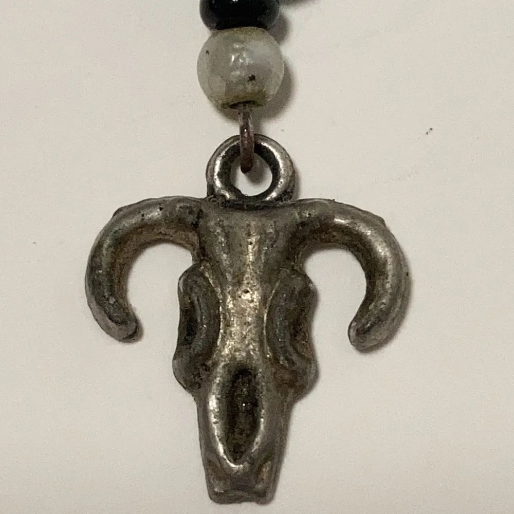 Pair of Steer Skull Fishhook Earrings - Image 2