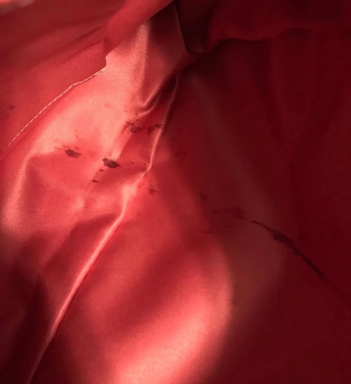 Penelope purse - Image 4