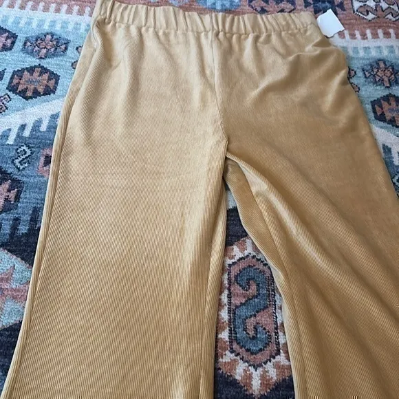 Tan Ribbed Velvet Velour Flare Soft Pants - Image 3
