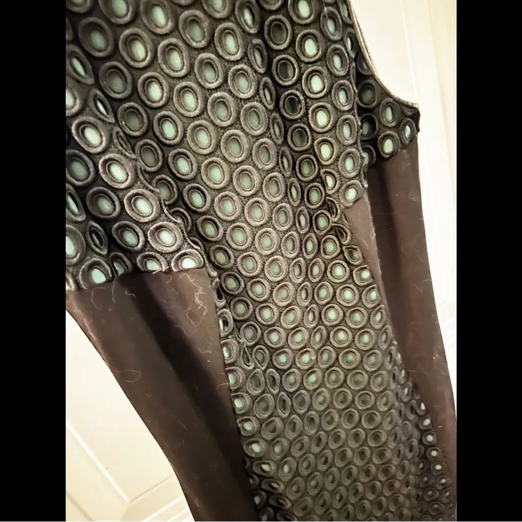 Jason Wu Leather Trim Sheath Sz 4 Pre Fall Collection‎ - Image 3