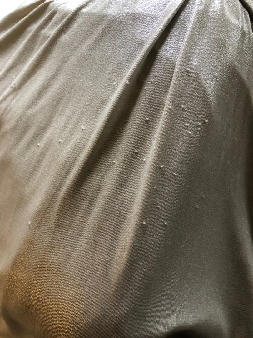 Lizard Thicket Silver Dress - Image 4