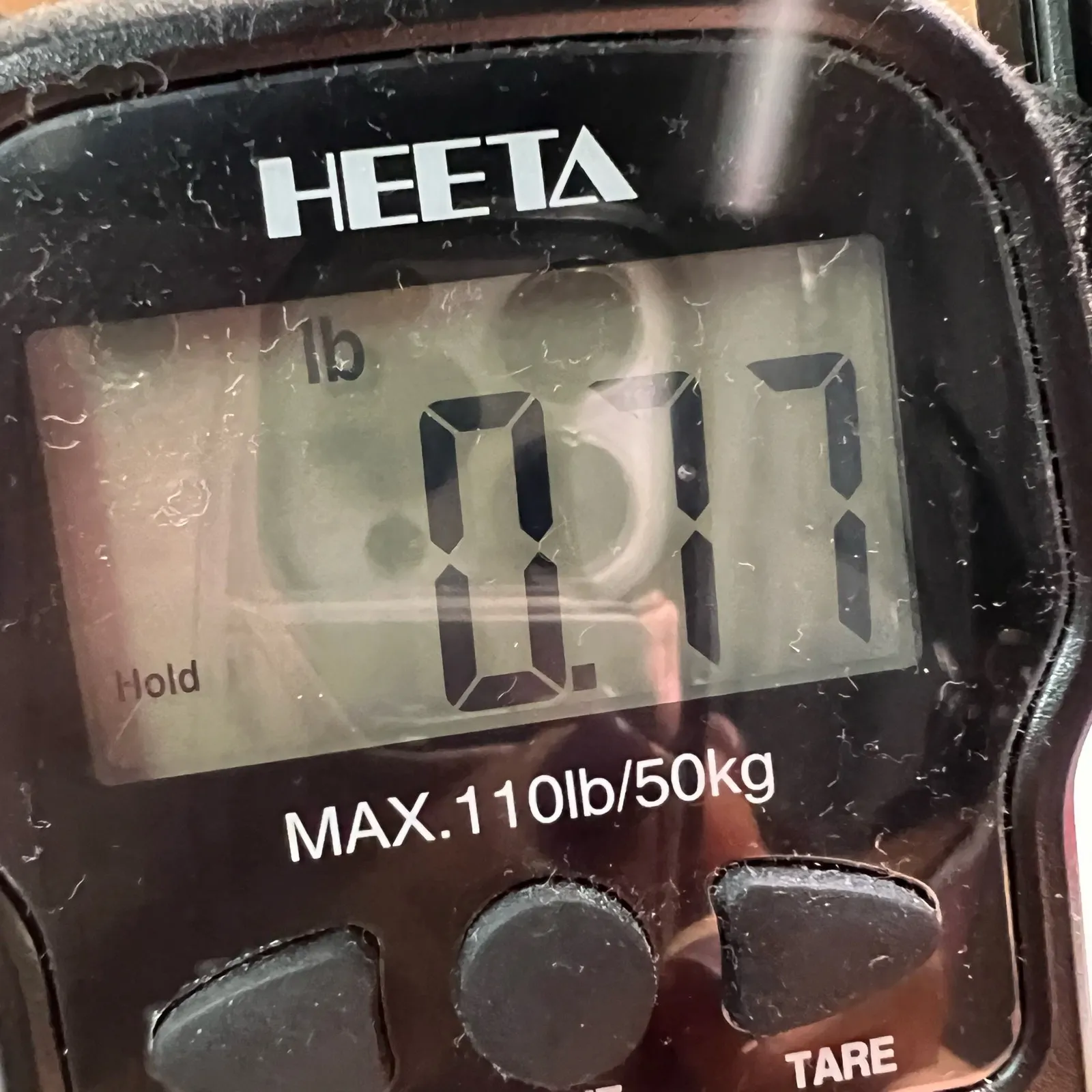 English Factory Sweater Womens S White Rainbow Eyelash Fringe Pullover Modern - Image 14