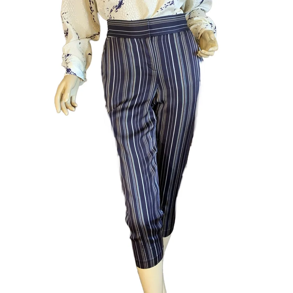 ANN TAYLOR PETITE NAVY BLUE W/SILVER & TAN STRIPES SATIN CROPPED PANTS (4P) - Image 3