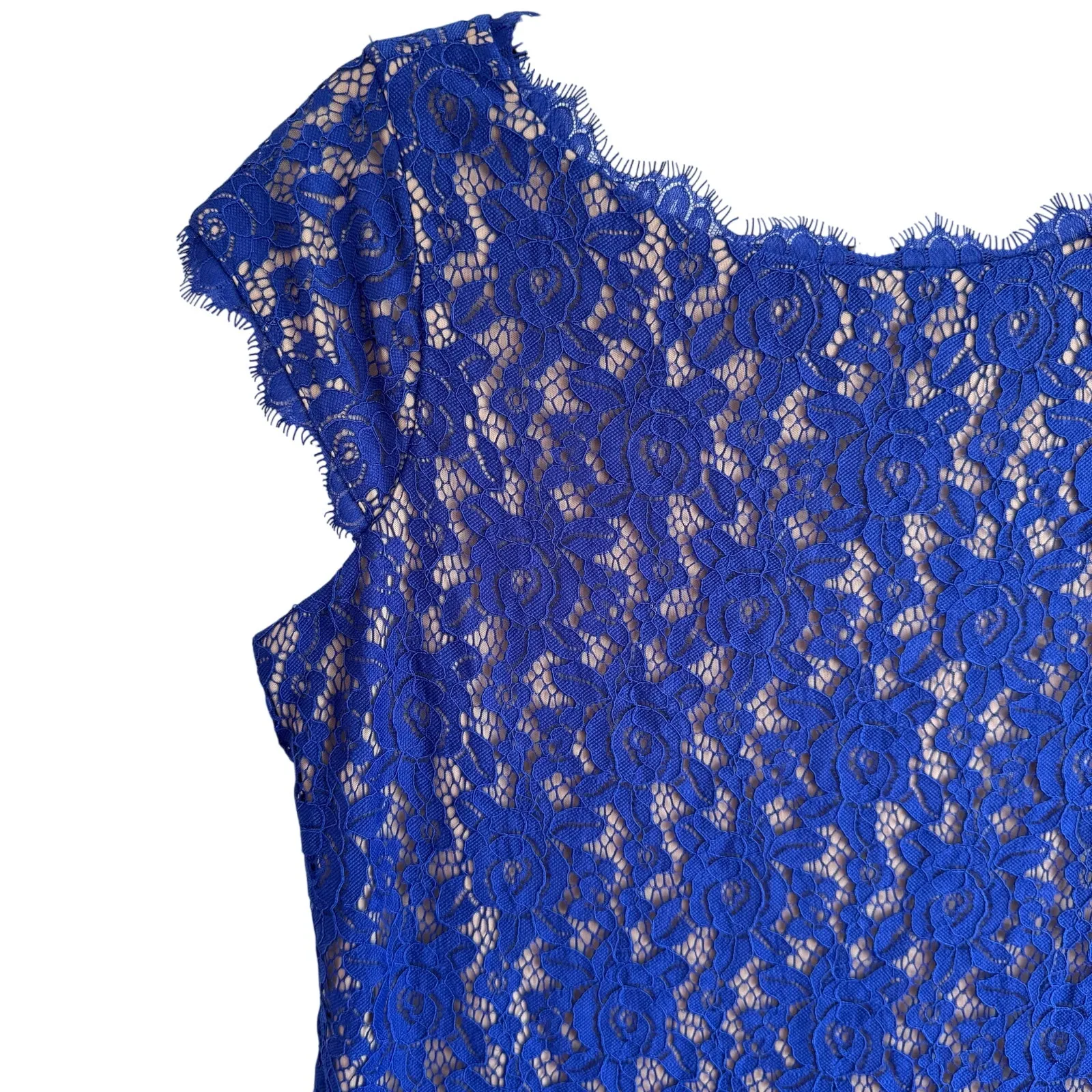 Eliza J Royal Blue Lace Cocktail Dress Size 12 Cap Sleeve Scalloped Hem Lined - Image 9