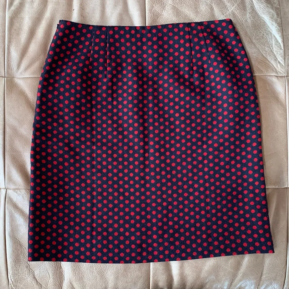 Talbots Blue & Red Polka Dot Skirt - Image 4