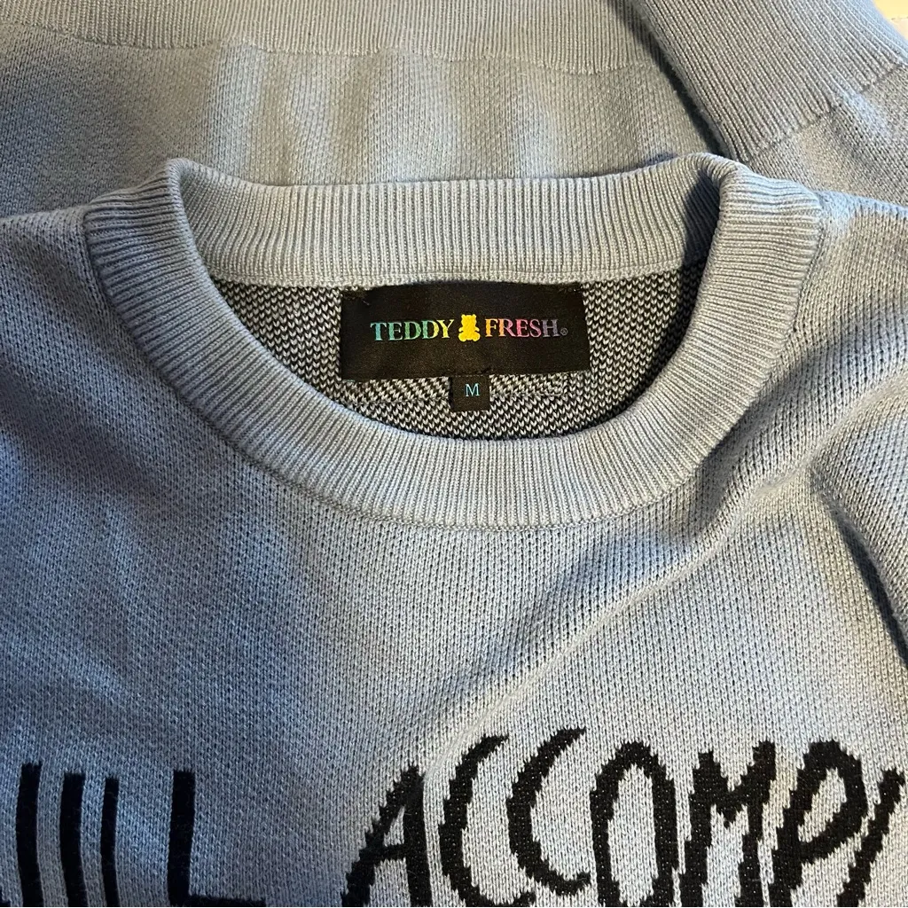 Teddy Fresh - I Will Accomplish Nothing Today Knit Sweater Medium - Image 10