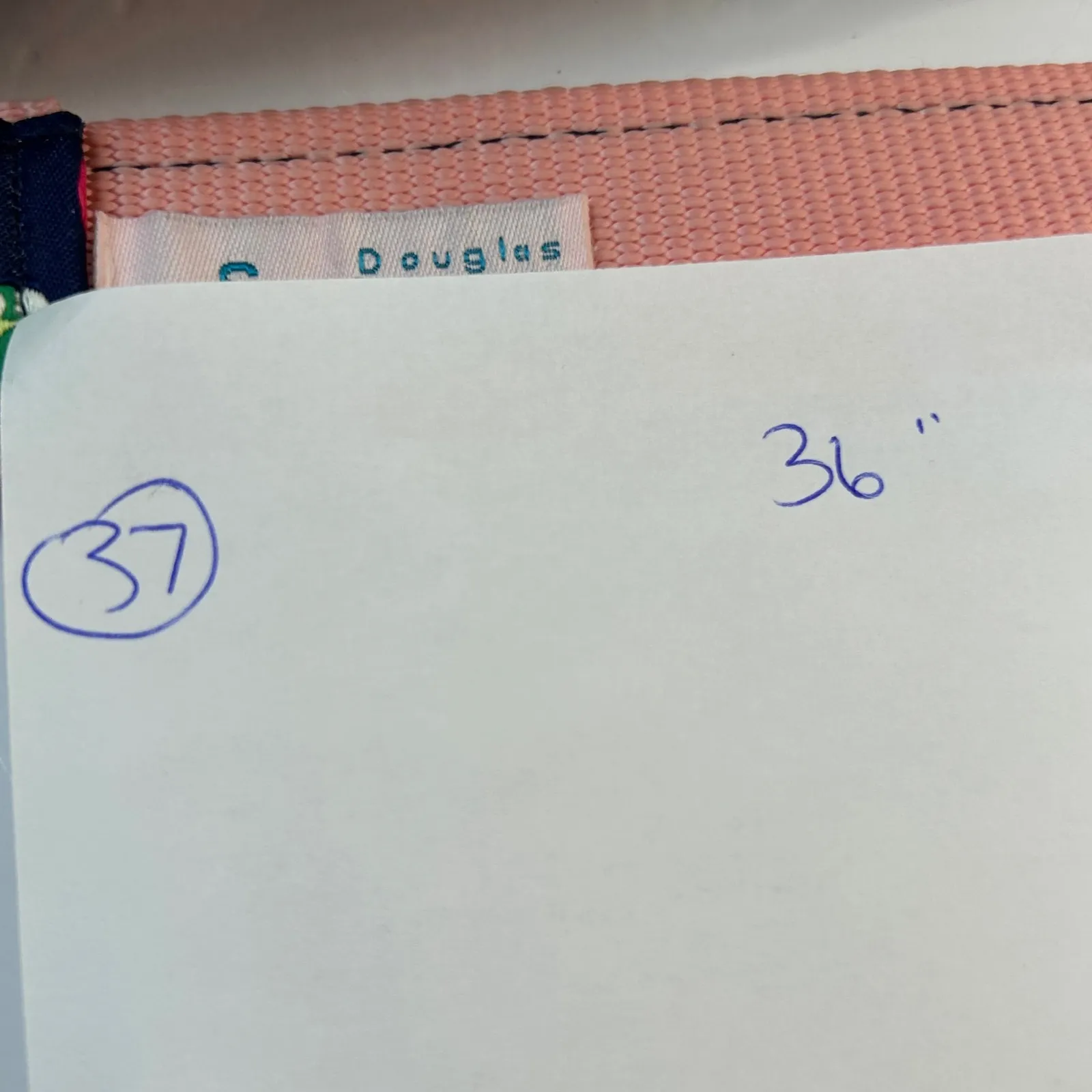 Douglas Paquette Flip Flop Print Fabric Belt Pink Double Ring D Ring Small Y2k Black - Image 8