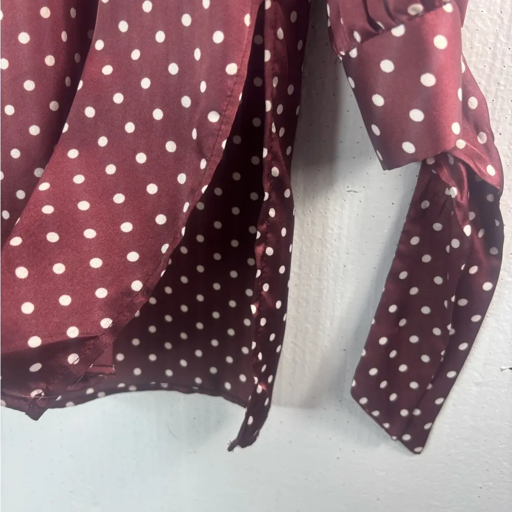 Zara L Babydoll Polka Dot Button Front Tunic Top in Burgundy - Image 3