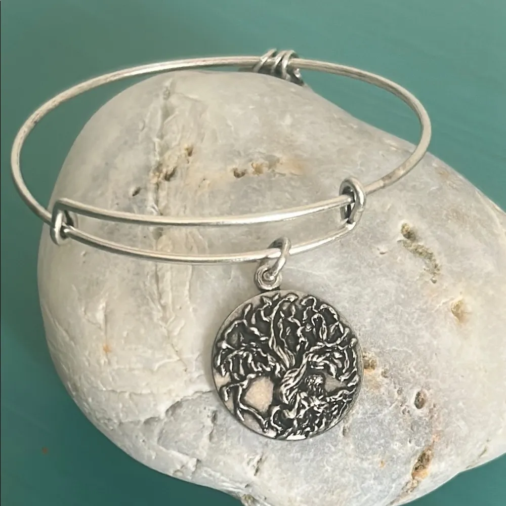 Alex and Ani Tree of Life Expandable Rafaelian Silver Tone Bangle Bracelet - Image 6