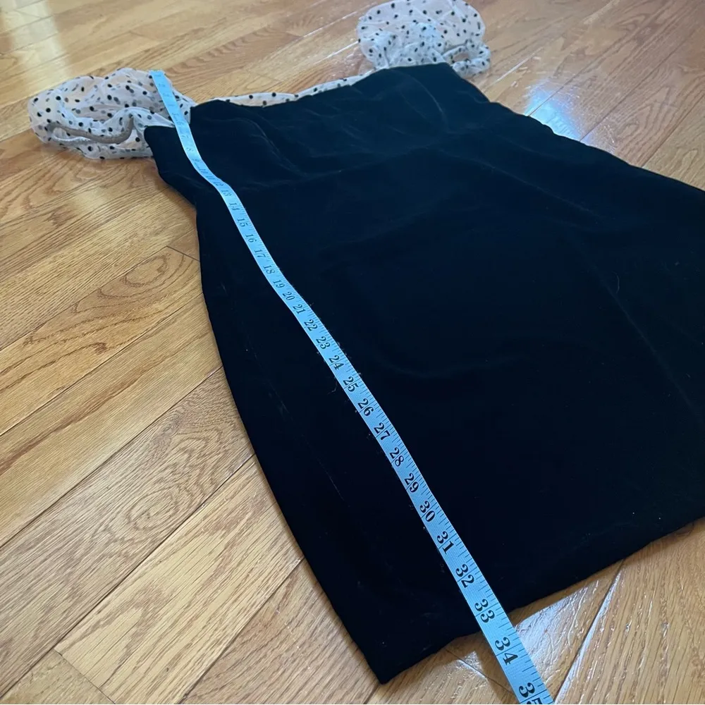 Camila Coelho Heirloom Velvet Tulle Puff Sleeve Flocked Dot Dress in Black Sz L - Image 9