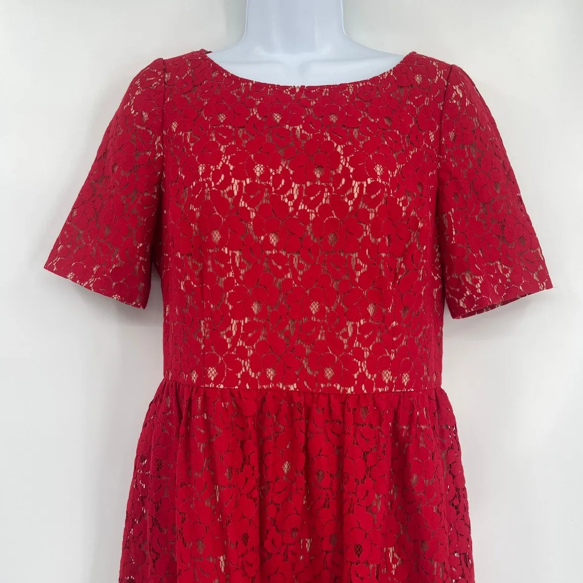 Adrianna Papell Lace Fit Flare Dress Sz 8 Red Holiday Cocktail Christmas Party - Image 2