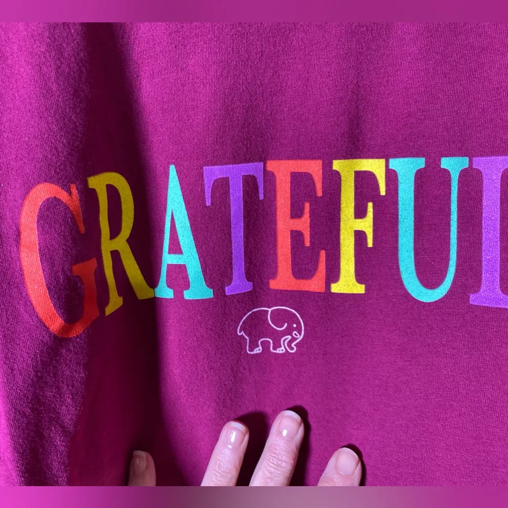 Ivory Ella “Grateful” Graphic Long Sleeve Shirt - Image 2