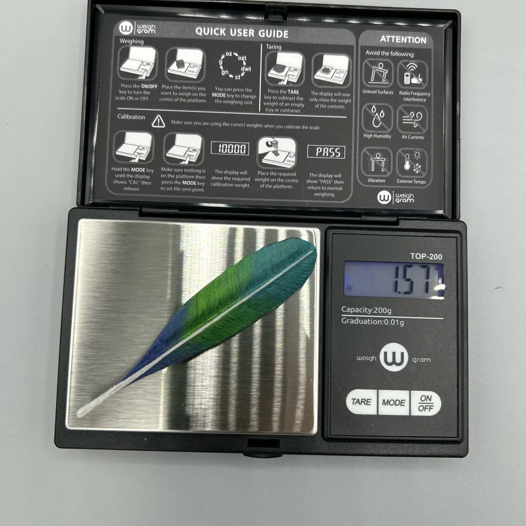 Signed Hand Painted Feather Brooch | Artisan Pin 1997 - Image 7