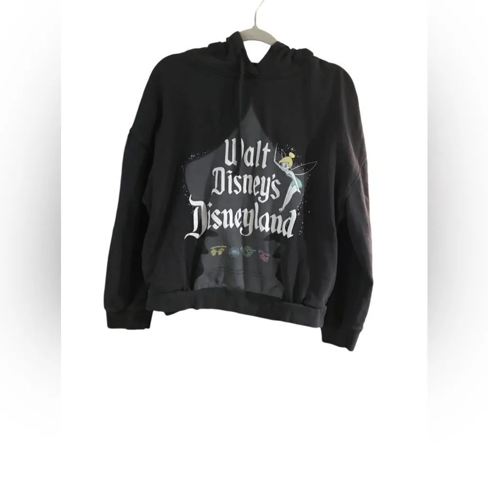 Walt  Disneyland hundred anniversary hoodie Size medium - Image 8