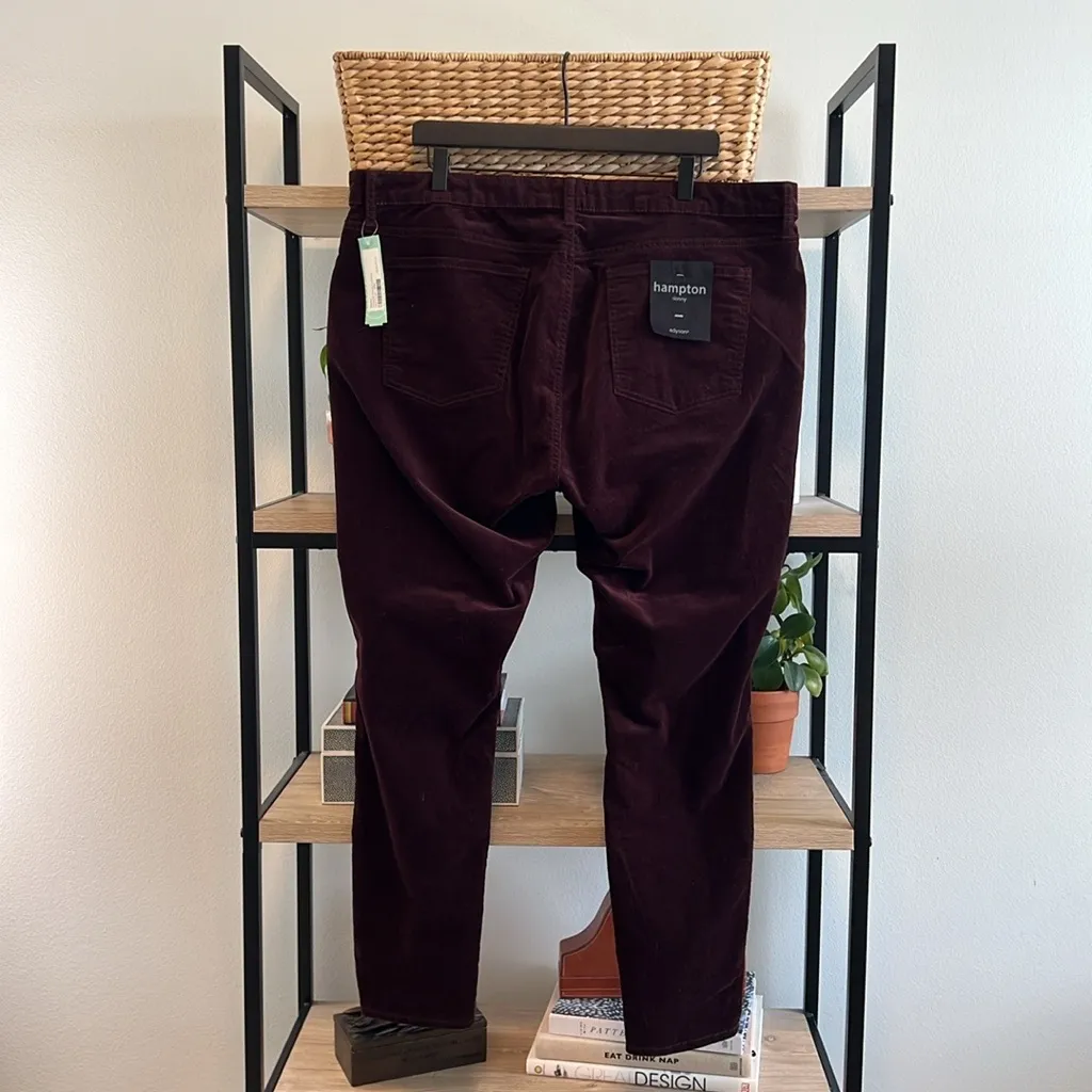 NWT Edyson Stitch Fix High-Rise Hampton Stretch Cotton Skinny Corduroy Pant, 20W - Image 4