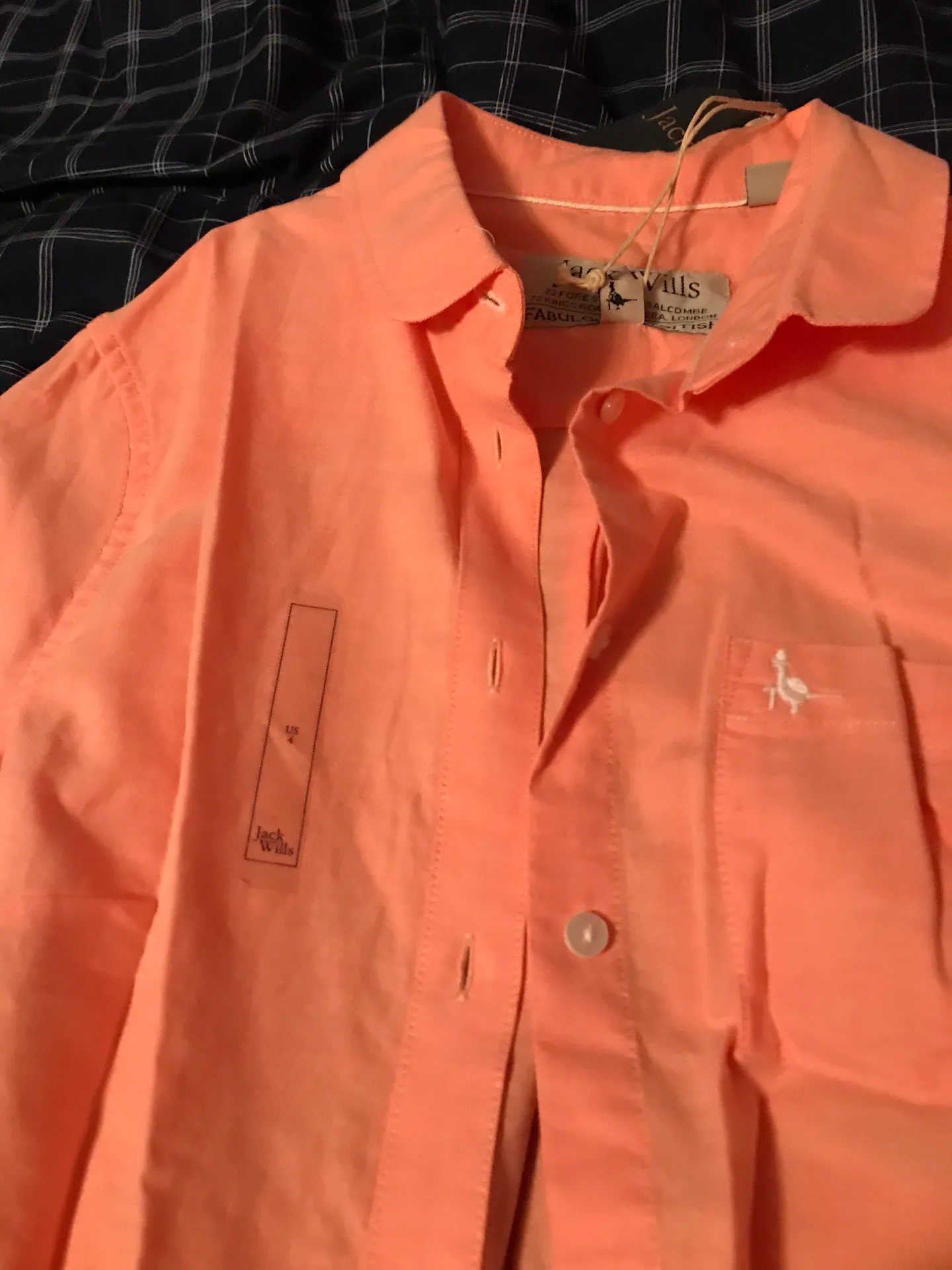 Button Down - Image 2