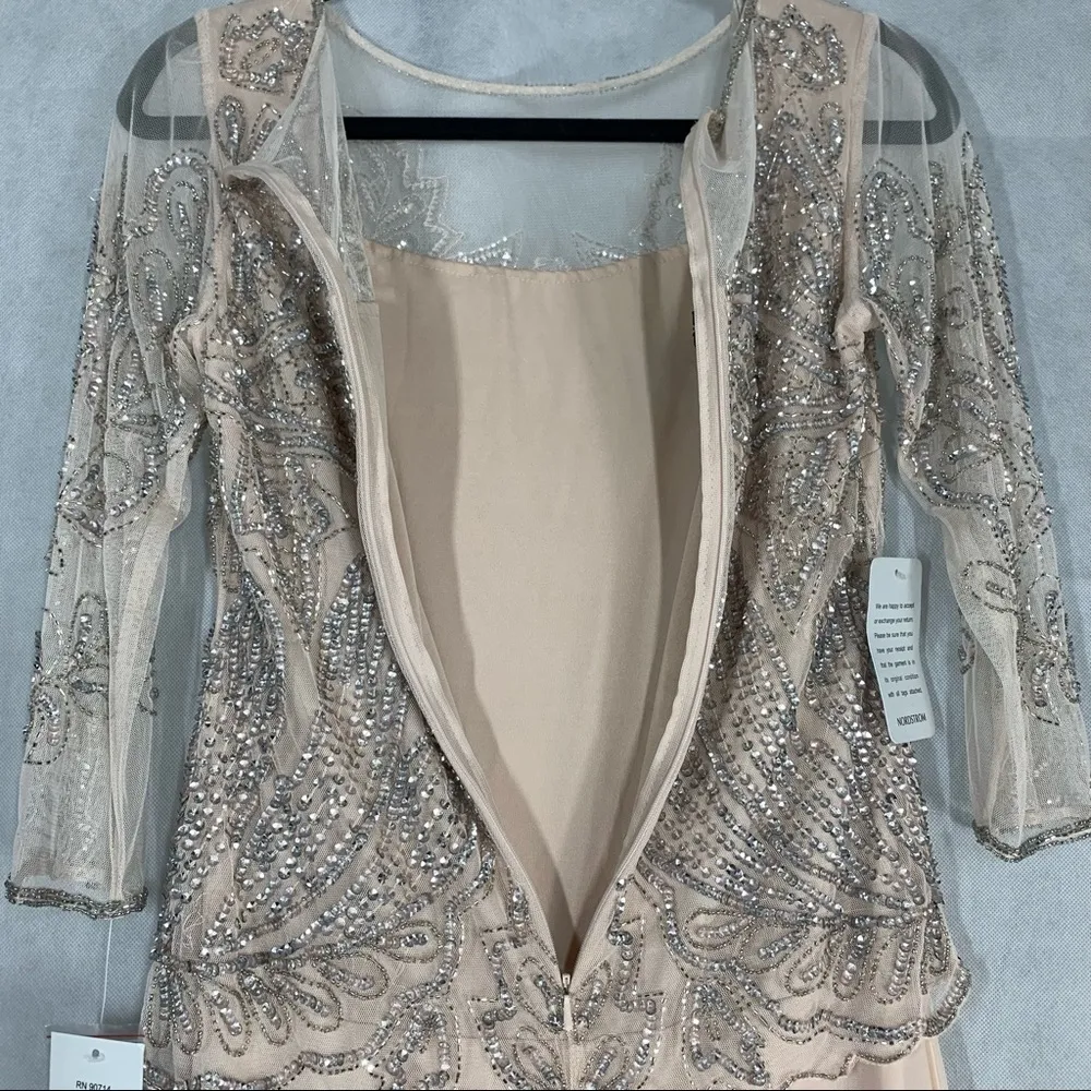 Pisarro Nights D1545 Embellished Mesh Gown Size 6P - Image 6