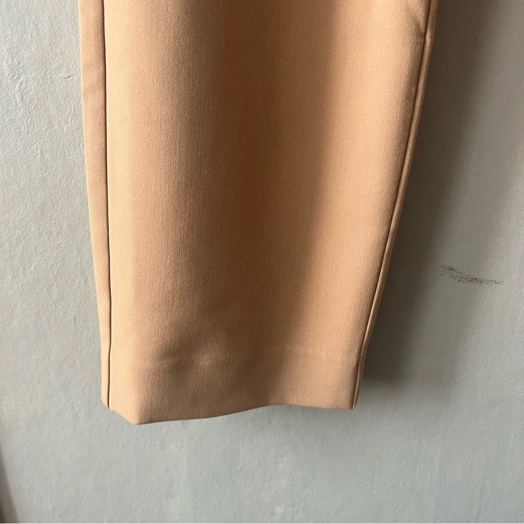 Abercrombie and Fitch Tan Sloane Tailored Wide Leg Pan Size 4/27 NWT - Image 3