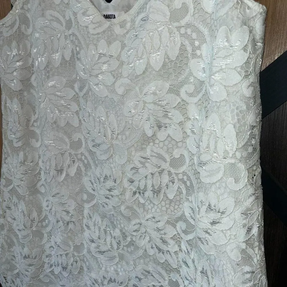 BB Dakota lace overlay dress - Image 2