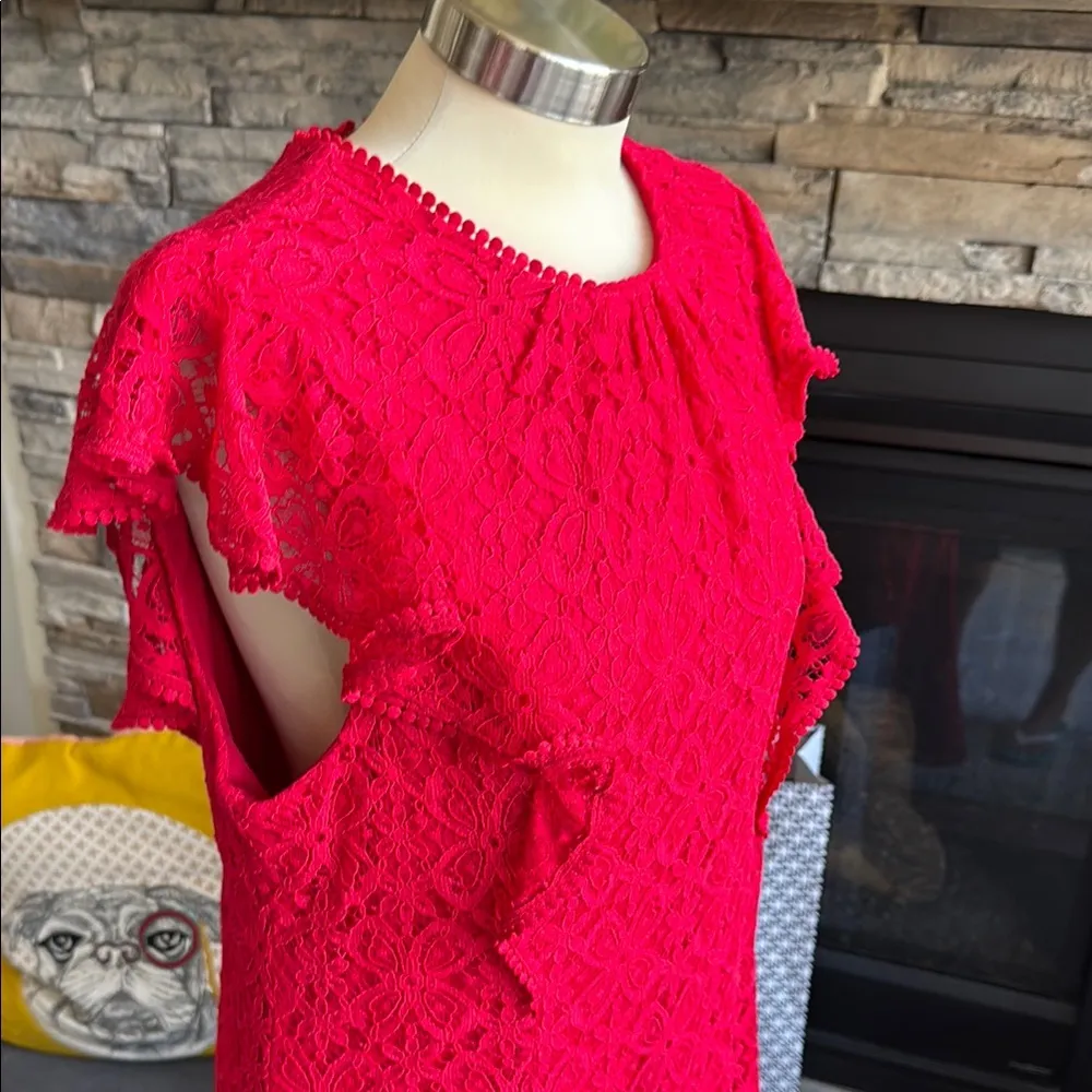 Julia Jordan Red Ruffled Mini Dress - Image 11