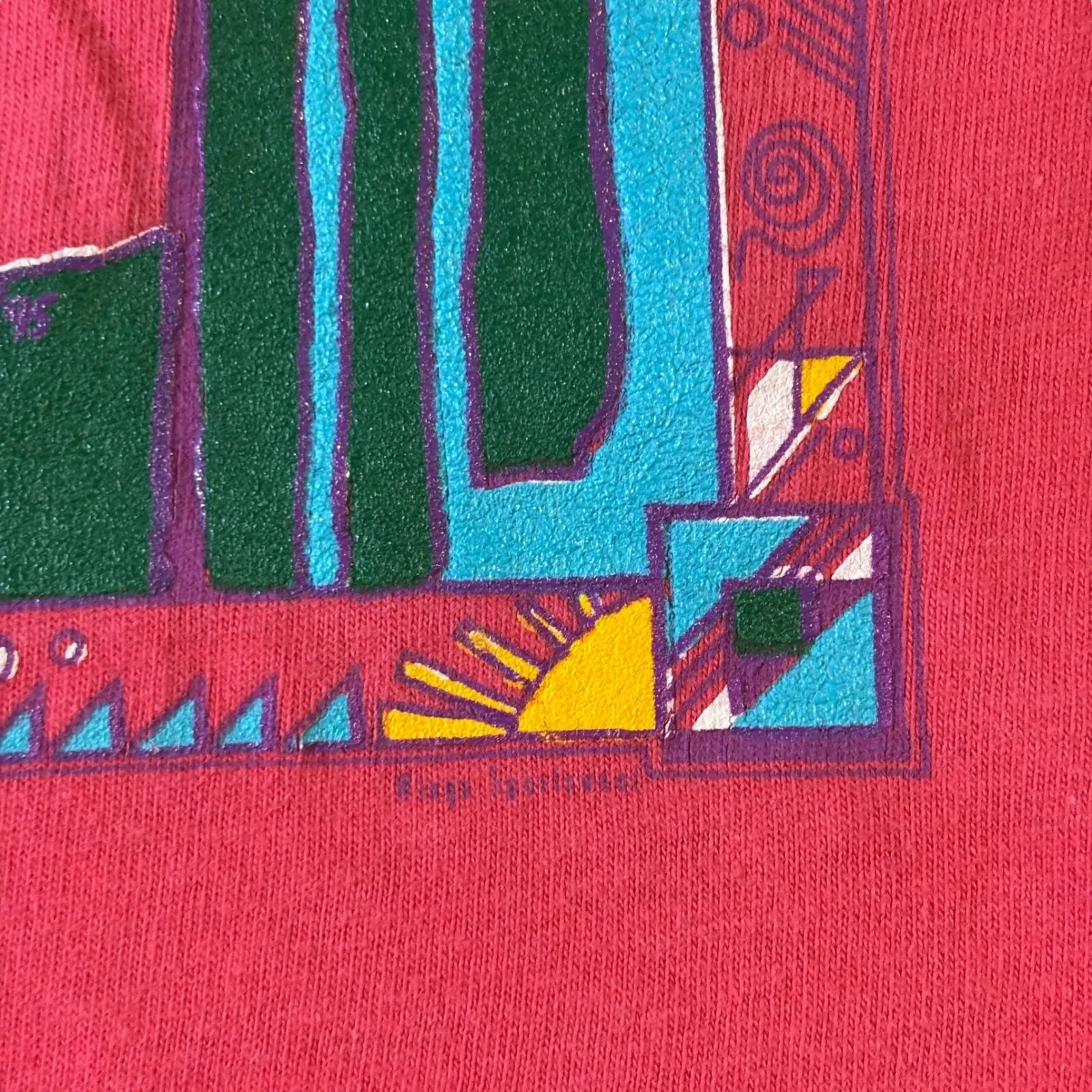 Vintage 90s Desert Cactus Graphic T Shirt Hanes Beefy Tee Red Women's‎ Large - Image 4