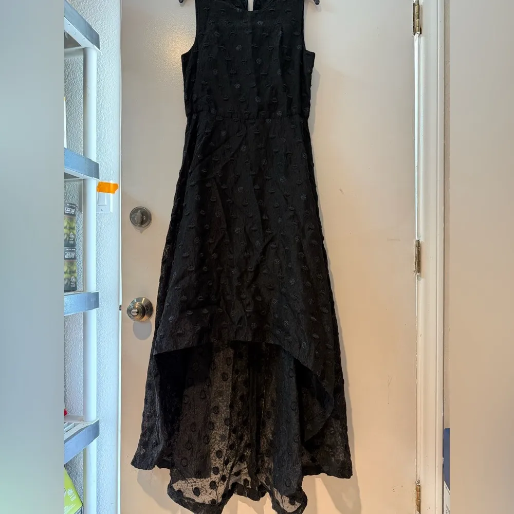 Hunter Bell
Black Sparkle Dot Dress - Image 4