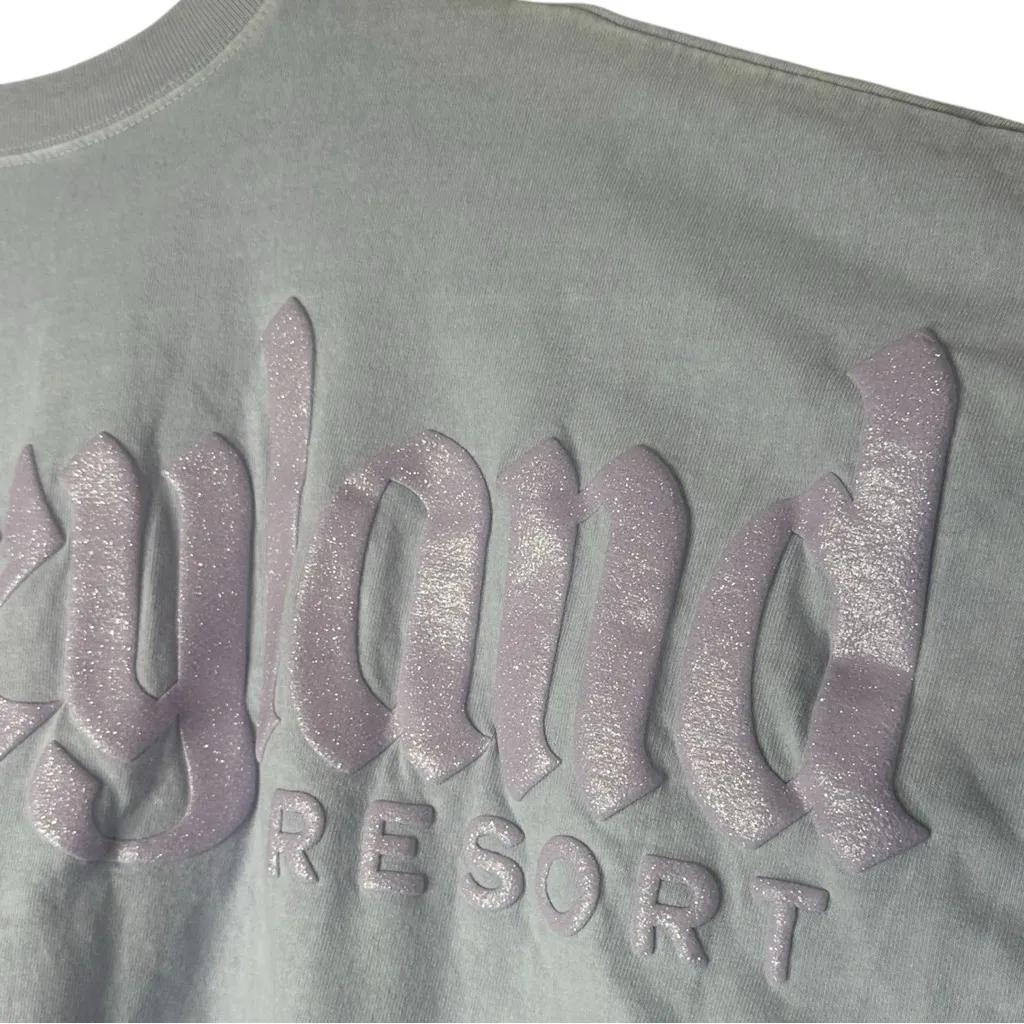 Disney Parks Disneyland Resort Spirit Jersey Lavender Glitter Size Medium - Image 9