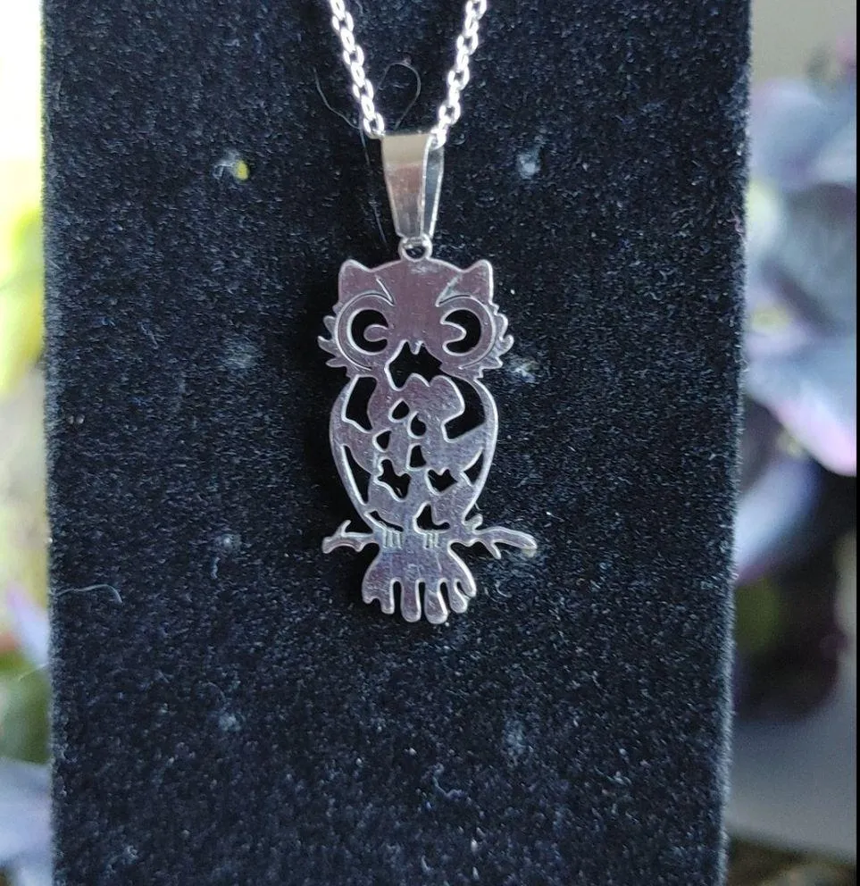 Silver Stainless Owl Necklace Earrings Set - Image 3