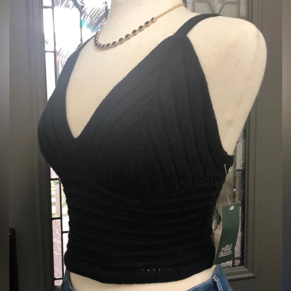 Wild Fable NWT  Black Crochet Sweater Crop
Top - Image 2