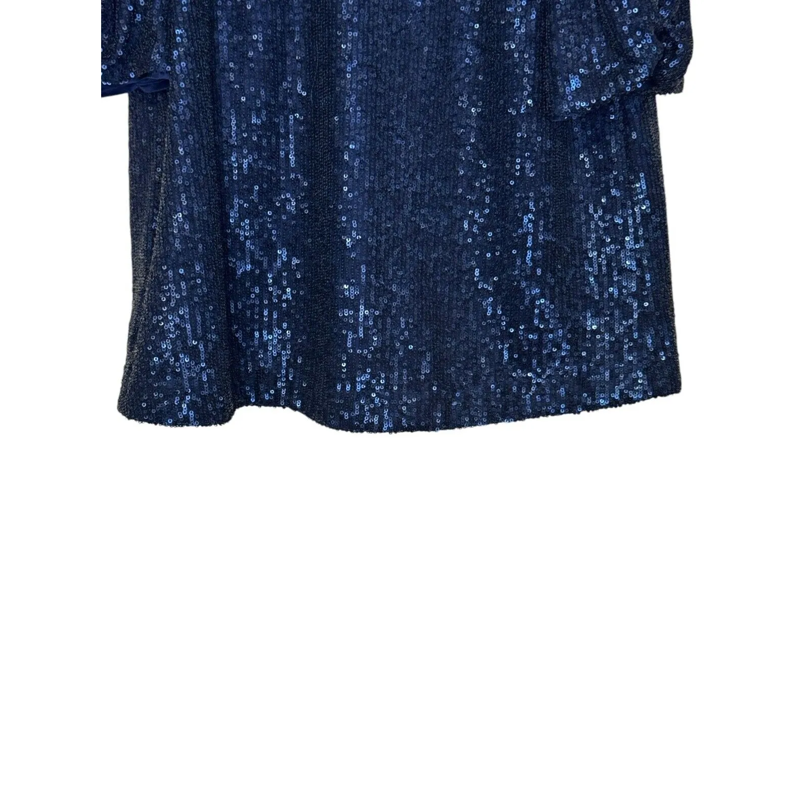 Anthropologie Women's Top Semi-Sheer Lined‎ Sequin Ruched Puff Sleeve Blue Sz.2 - Image 4