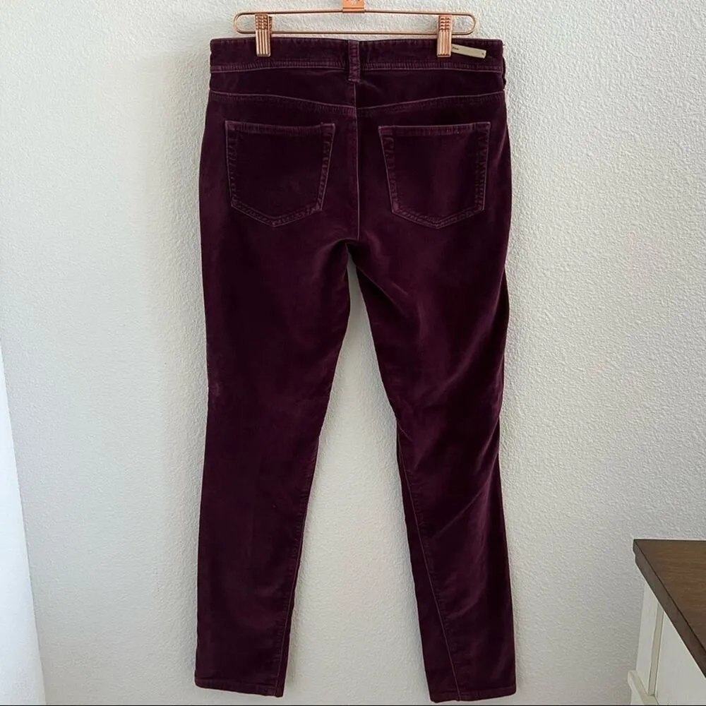 Pilcro and the Letterpress Anthro Serif Velvet Maroon Pants 26 - Image 2