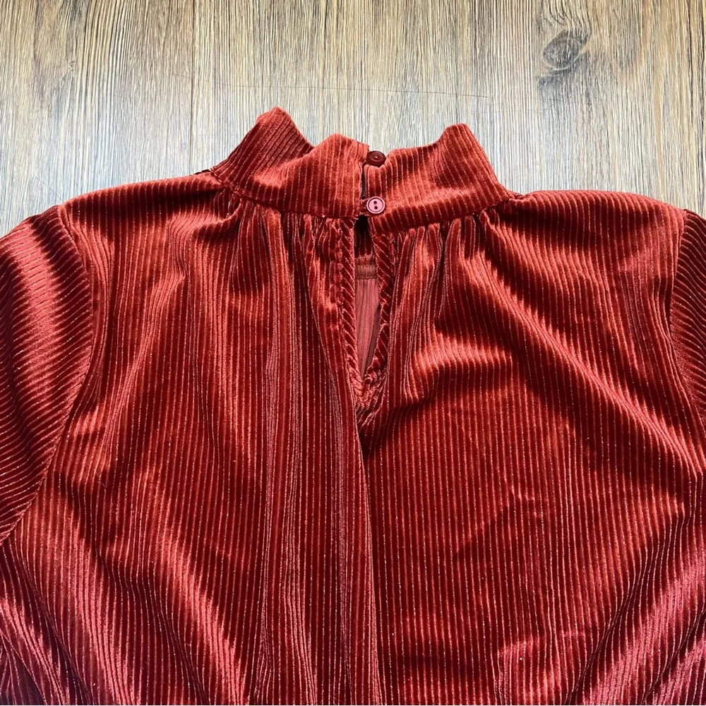 Lost + Wander Rust Velvet Blouse - Image 9