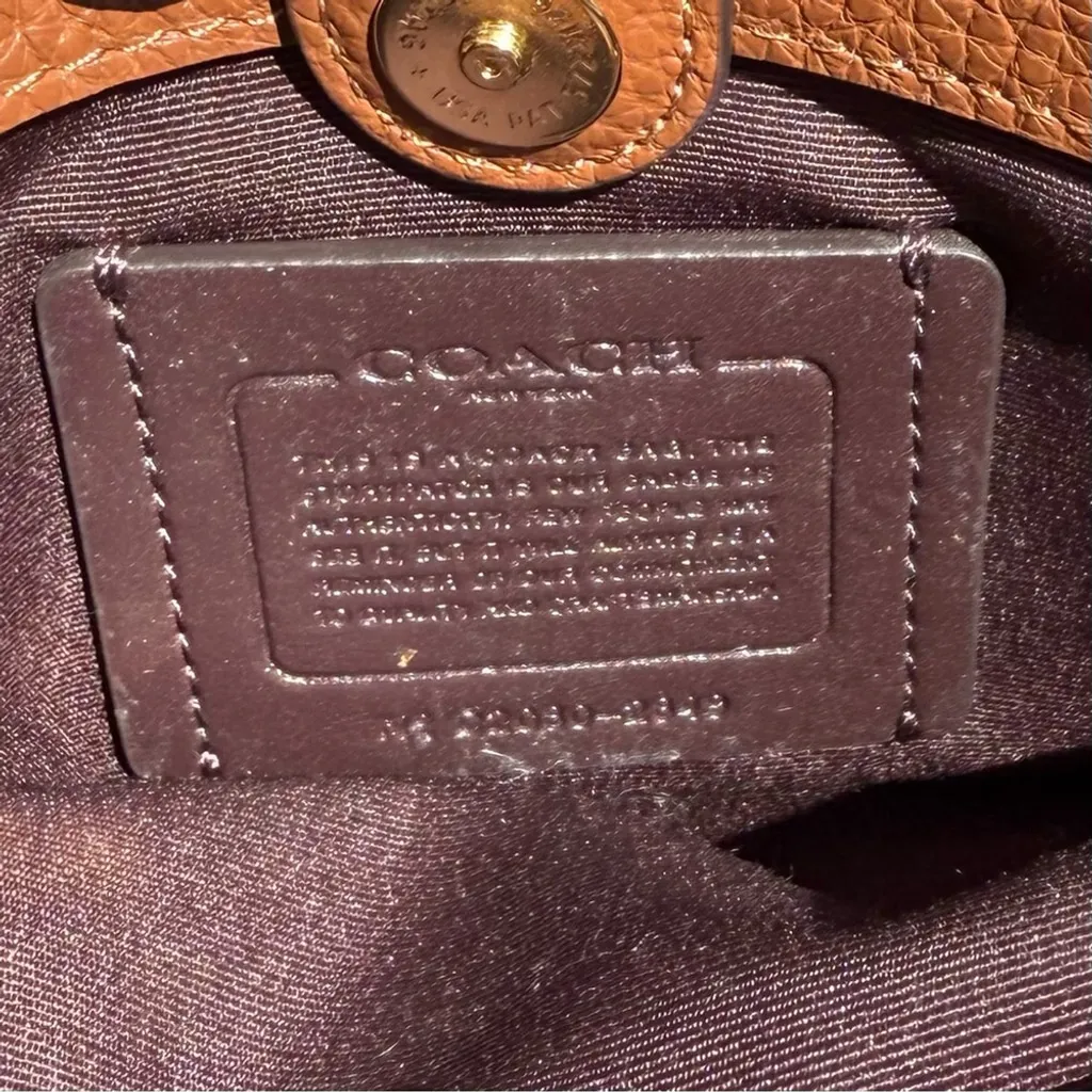 Coach Mini Lillie Carryall 2849 – Redwood Pebble Leather with Daisy Appliqué - Image 10