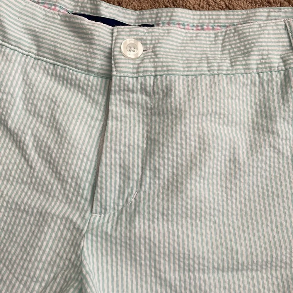 Lauren James new seersucker blue shorts meidum - Image 2