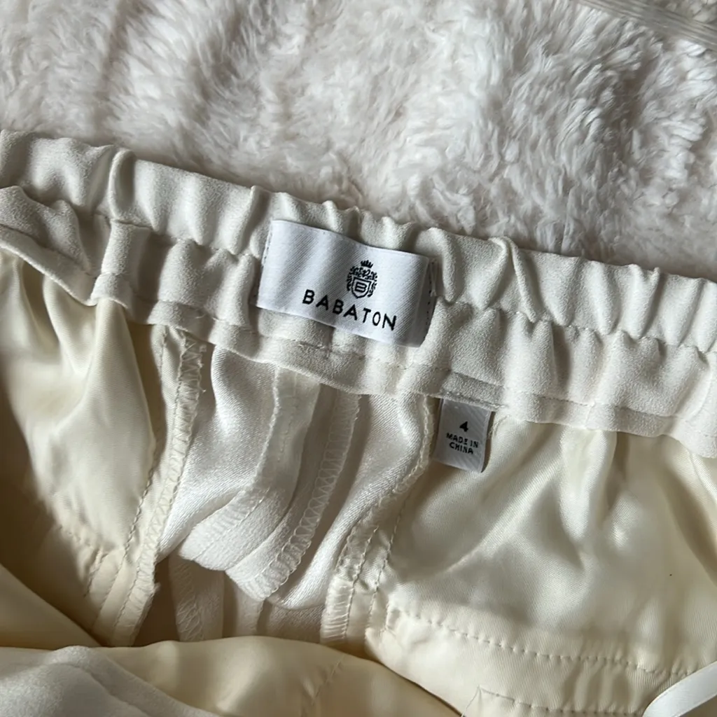 Aritzia Babaton Conan Cropped Pants size 4 - Image 5