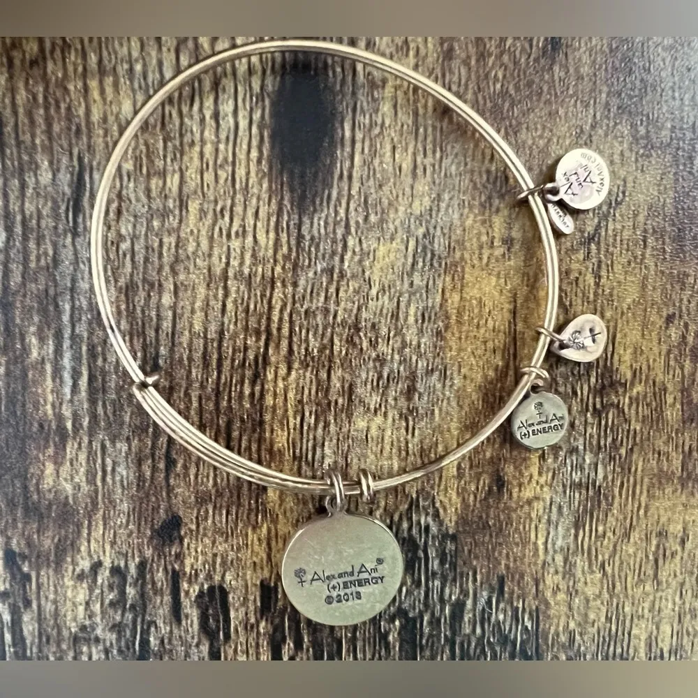 ALEX AND ANI  | Lighthouse, Expandable Rafaelian Bangle Bracelet. - Image 2