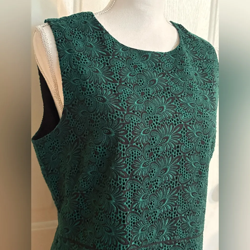 Ann Taylor Embroidered Lace Sheath Dress in Green Eden Size 12 - Image 4