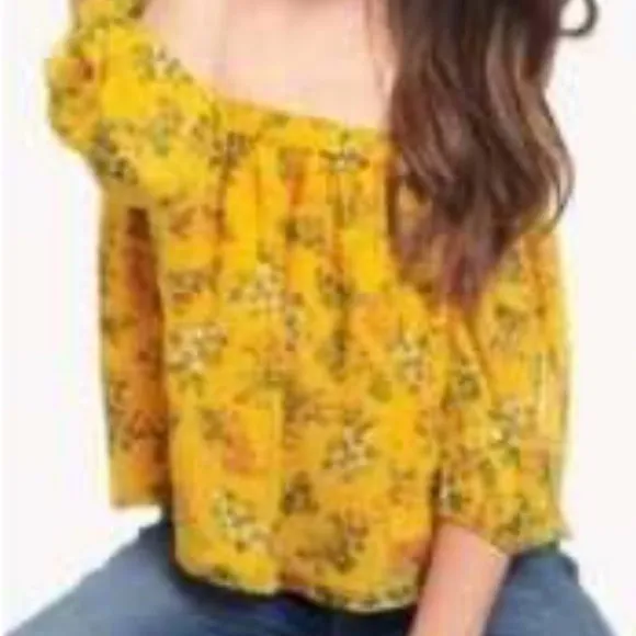 Ella moss 100% Silk cropped Flirty floral poetic garden off shoulder top Sz L - Image 6
