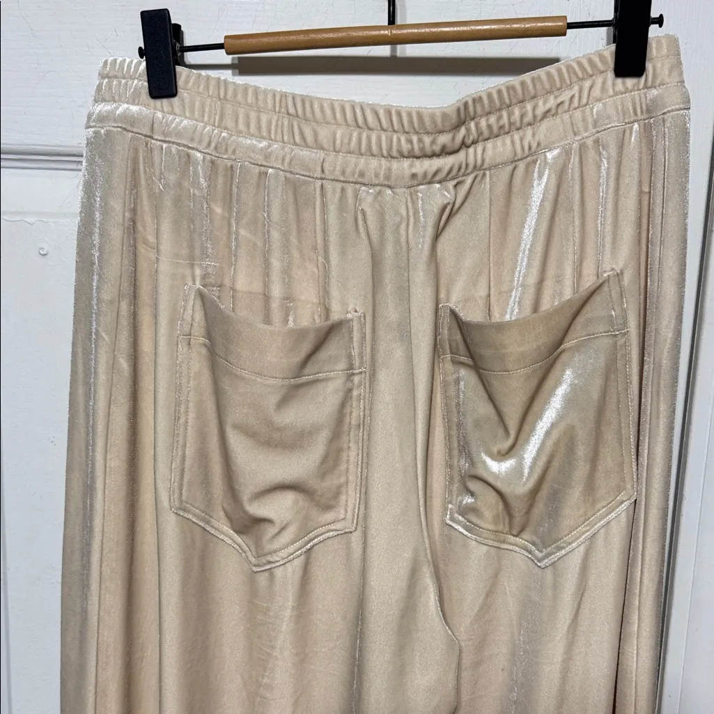 NWT Roucha Vaga Pant Ecru Cream Velvet Wide Leg Pants Size CC/12 W 14” - Image 4