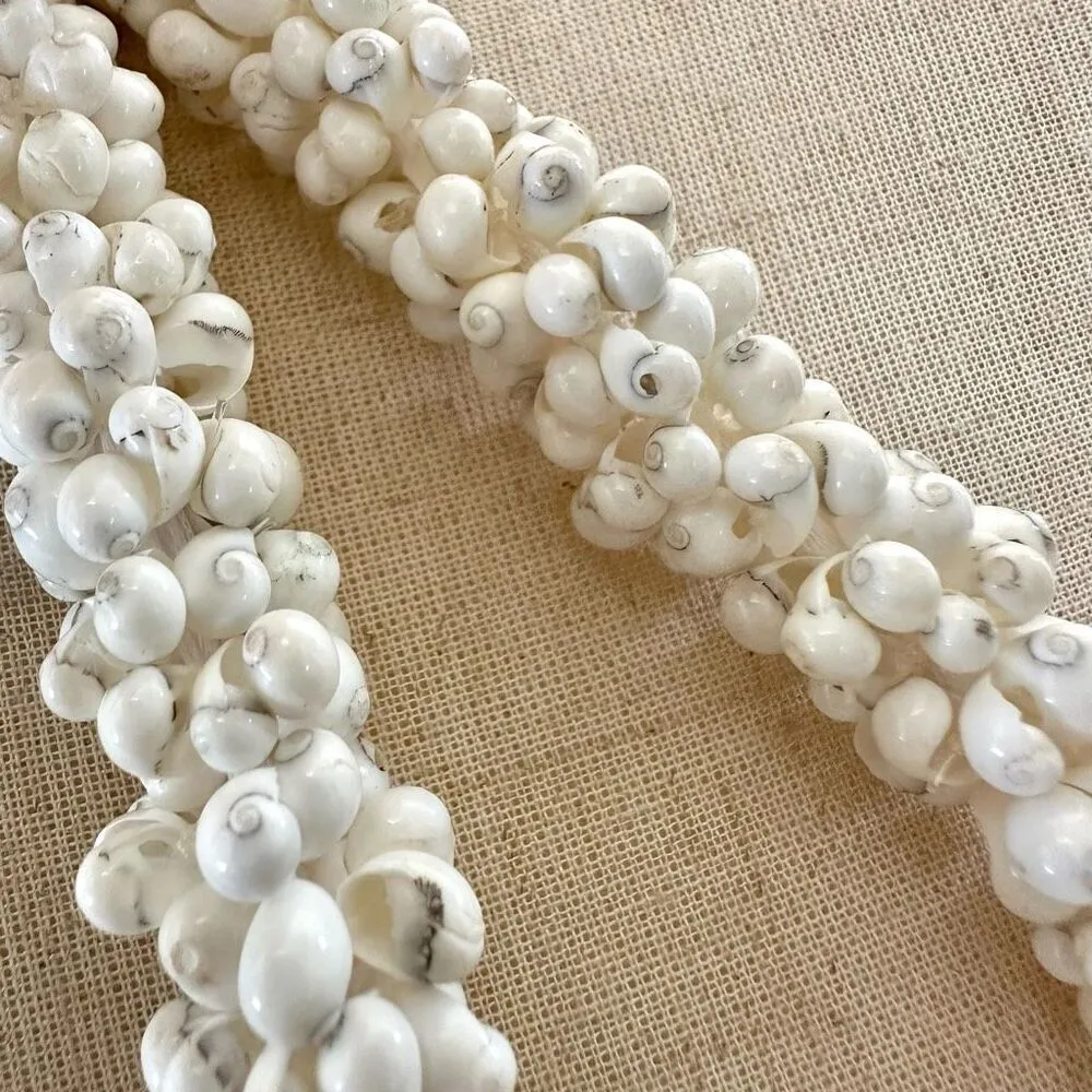 Hawaiian Mongo Shell Lei Necklace - Image 6