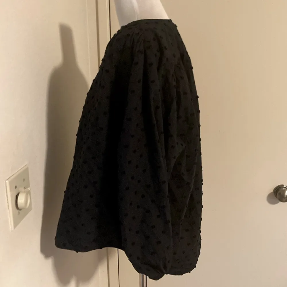 Zara Swiss Dot Plumtis Blouse With Voluminous Sleeves - Image 14