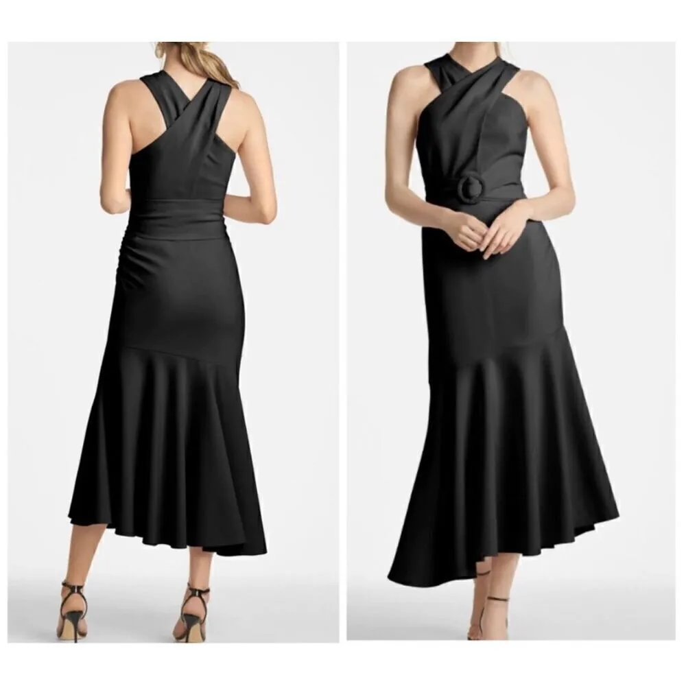 NWOT Sachin & Babi Naomi Dress - Image 2