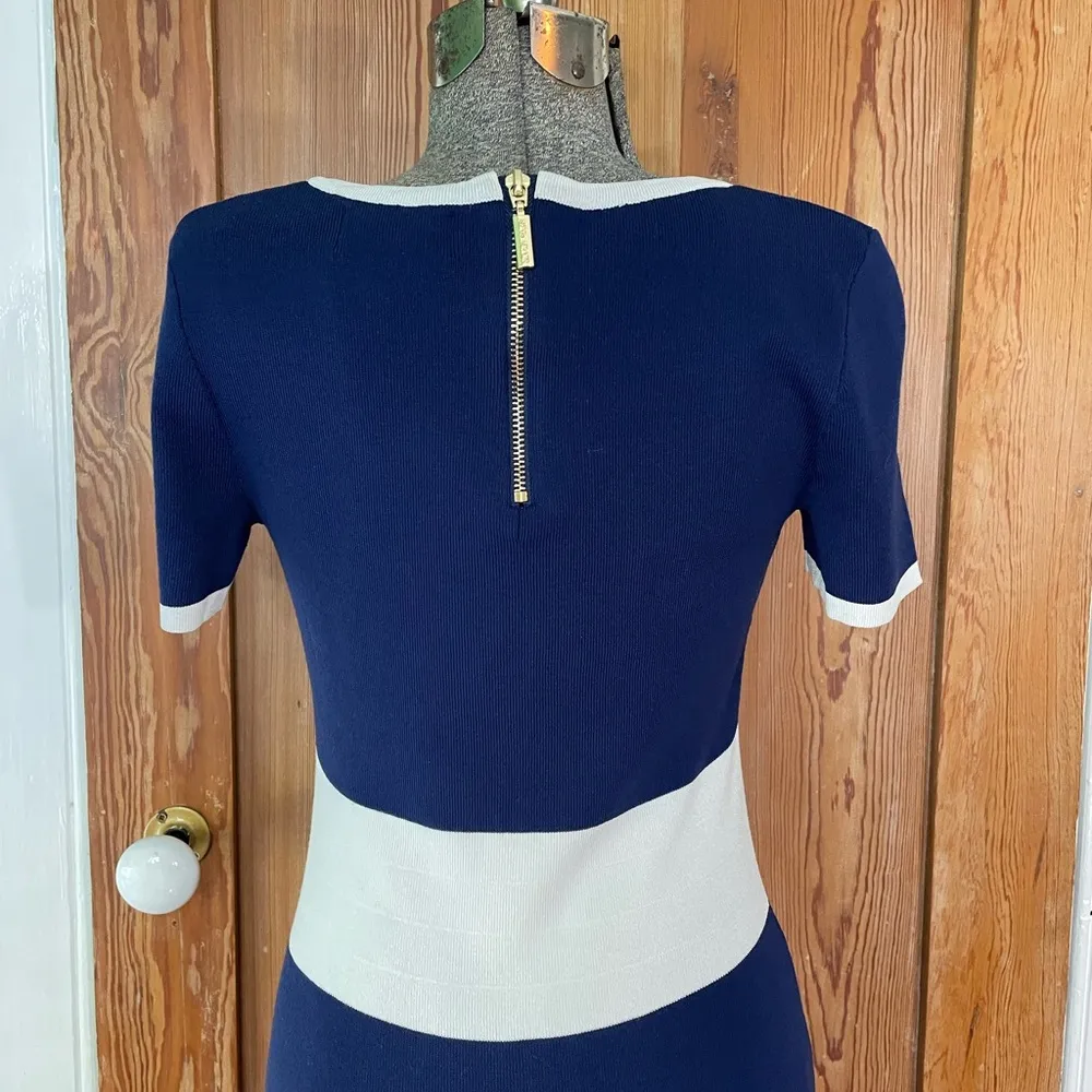 Alexia Admor Serenity Scoopneck Colorblock Knit Dress - Size Small - Image 9