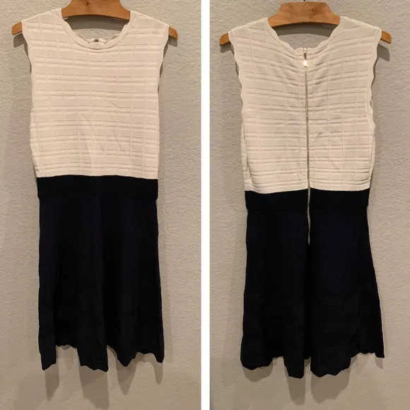 Ted Baker Polino Contrast Skirt Scallop Knit Dress (3) - Image 2